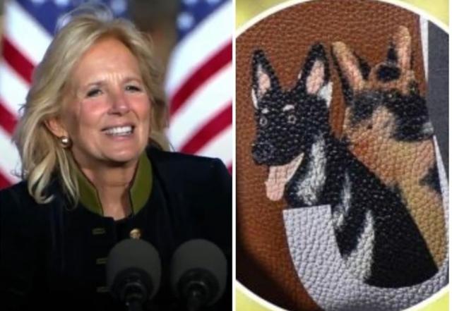 Jill Biden's custom made bag features hand-painted portraits of her dogs - https://cdn.connectfm.ca/Jill-Biden.jpg