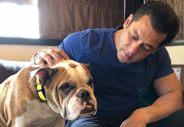 Salman Khan gets first dose of Covid-19 - https://cdn.connectfm.ca/Salman-Khan_210324_123034.jpg
