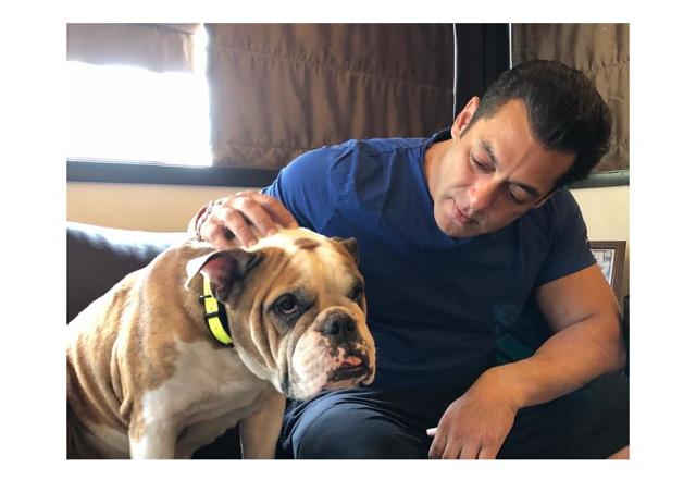 Chandigarh Police summon Salman Khan - https://cdn.connectfm.ca/Salman-Khan_210708_135135.jpg