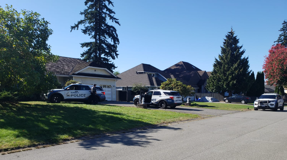 major-police-operation-near-kilmore-crescent-area-in-surrey-sps-confirms-multiple-arrests