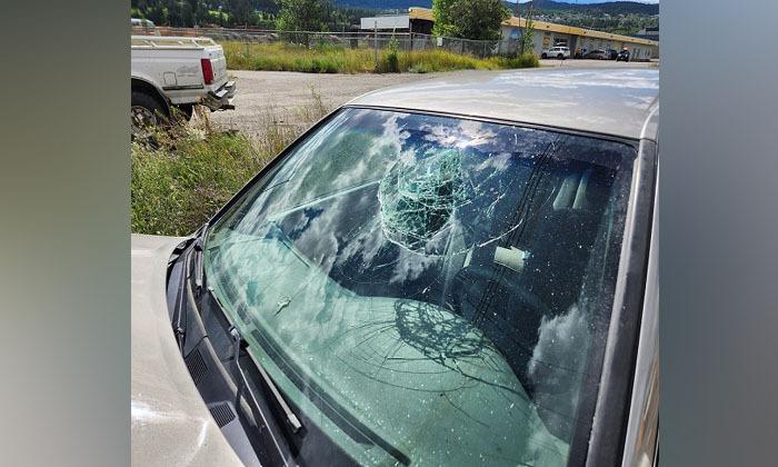 seatbelt-safety-on-display-as-allegedly-impaired-williams-lake-man-crashes-on-police-video