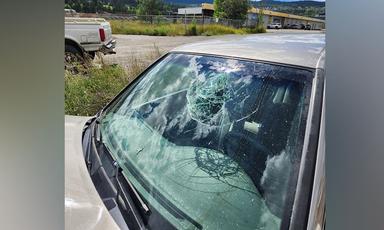 seatbelt-safety-on-display-as-allegedly-impaired-williams-lake-man-crashes-on-police-video