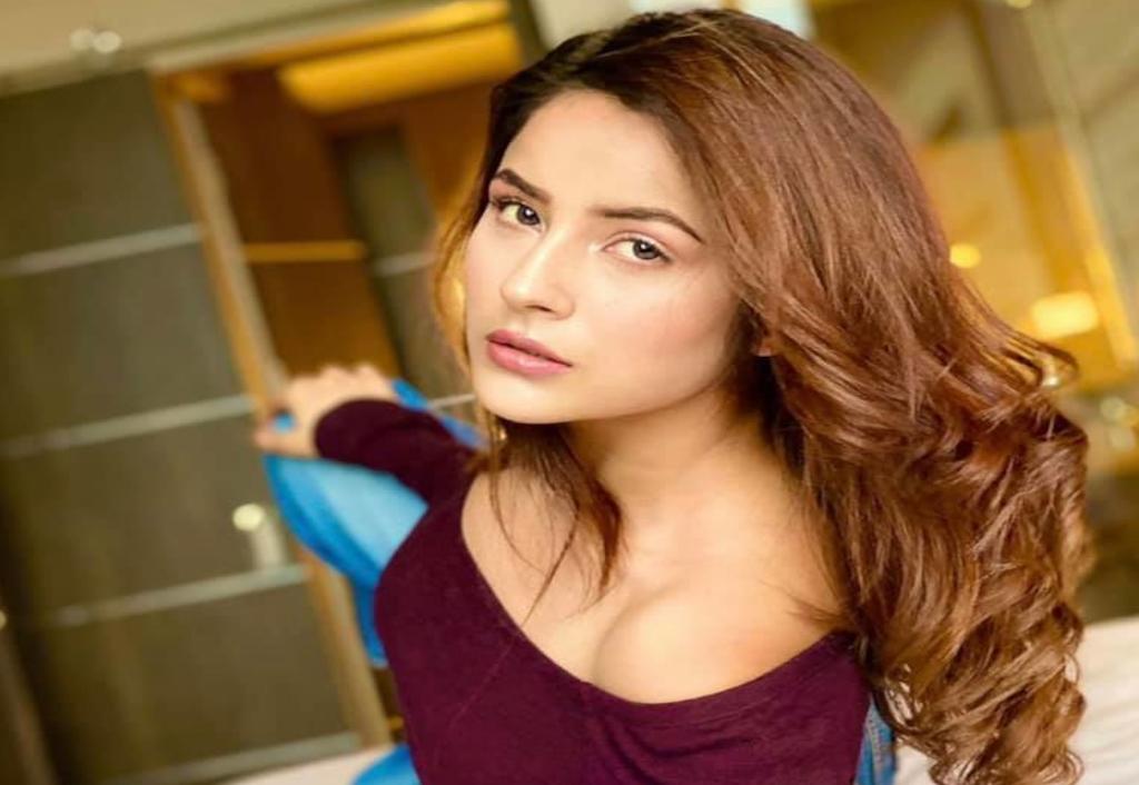 shehnaaz-eats-aloo-ke-parathe-at-gippy-grewals-home