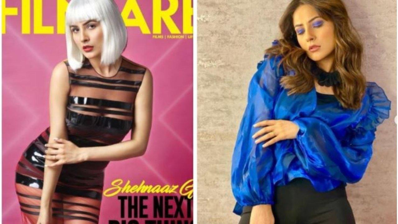 shehnaaz-gill-breaks-the-internet-how