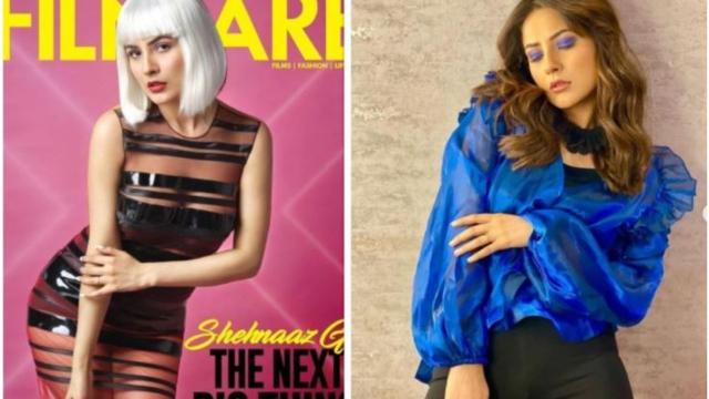 Shehnaaz Gill breaks the Internet & how - https://cdn.connectfm.ca/Shehnaaz_210719_132442.jpg