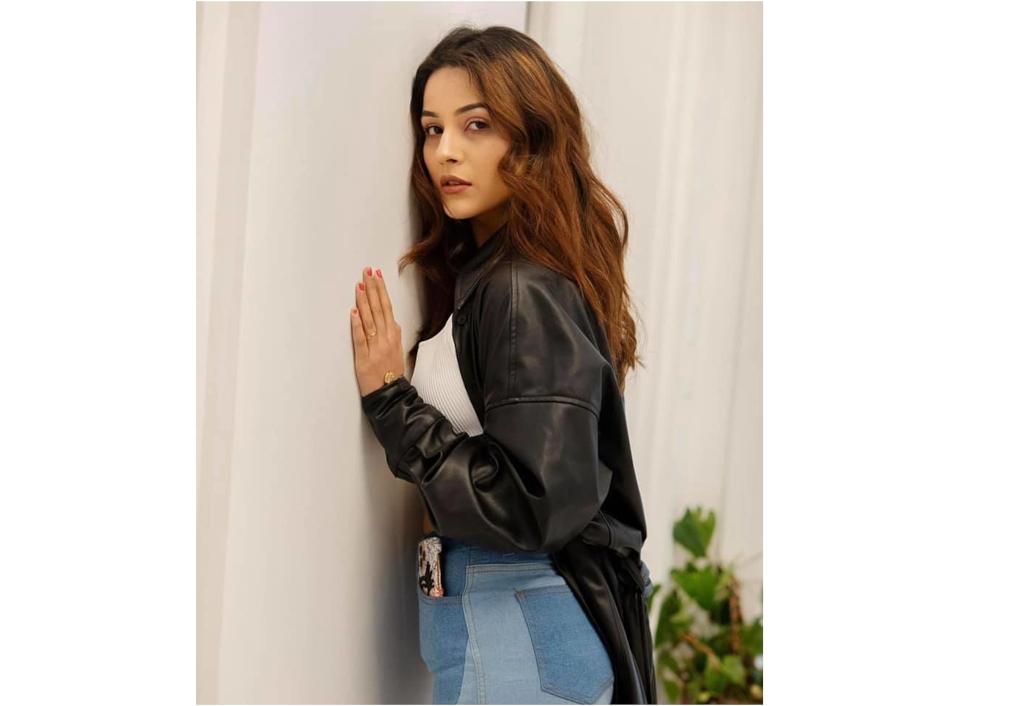 shehnaaz-gill-to-resume-work-from-october