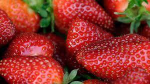 strawberries-sold-in-sask-alberta-linked-to-hepatitis-outbreak