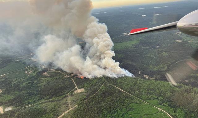 Wildfire in Peace River, B.C., quadruples in size after evacuation order - https://cdn.connectfm.ca/Wildfire_2025-05-30-175810_fjdp.jpg