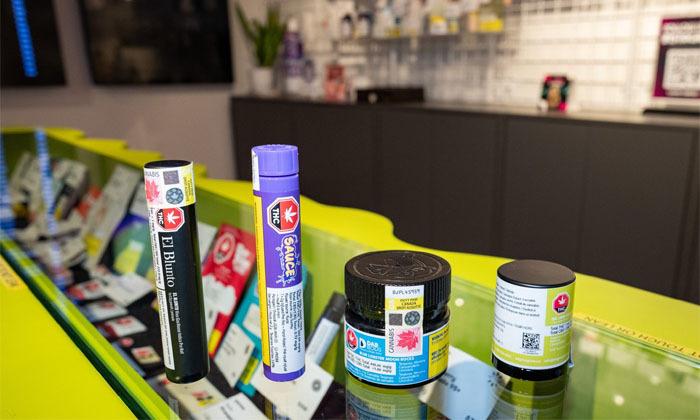 canadian-government-invests-24-million-in-cannabis-and-brain-health-research