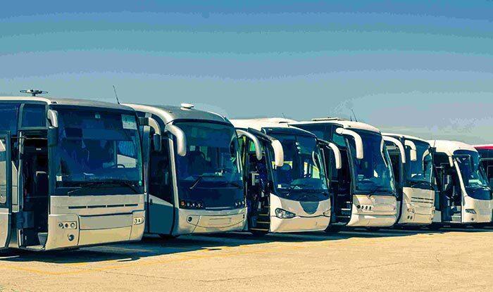 edmonton-transport-company-facing-223-charges-and-108-000-in-fines