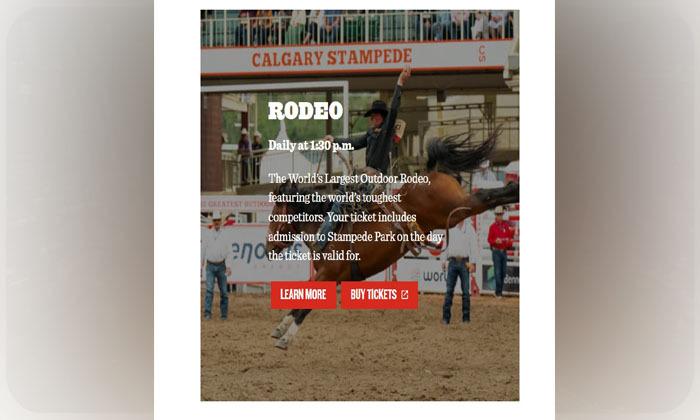 calgary-stampede-rodeo-safety-to-include-shaded-pens-heart-monitors-for-horses