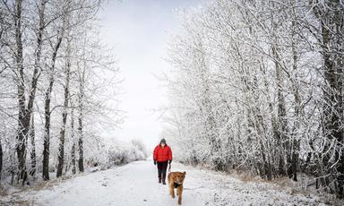 western-and-northern-canada-faces-frigid-temperatures-and-snow-ahead-of-christmas