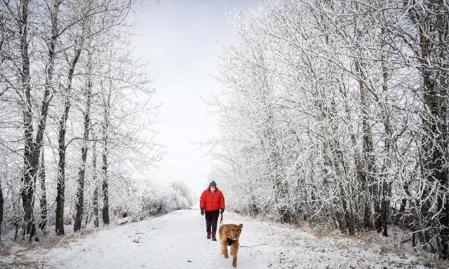 Western and Northern Canada faces frigid temperatures and snow ahead of Christmas - https://cdn.connectfm.ca/canada-enviourment.jpg