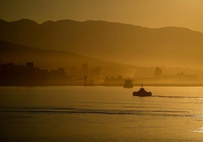 man-arrested-in-port-moody-b-c-after-driving-car-into-sea-for-video-livestream