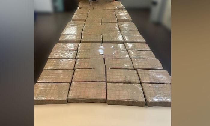 rcmp-seize-73-kilograms-of-cocaine-during-traffic-stop-east-of-sicamous-b-c