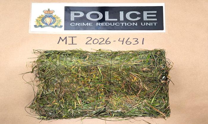 drug-package-disguised-as-grass-patch-found-inside-mission-institution-rcmp-investigating