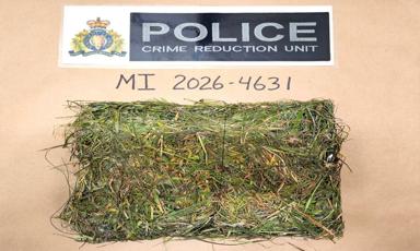 drug-package-disguised-as-grass-patch-found-inside-mission-institution-rcmp-investigating