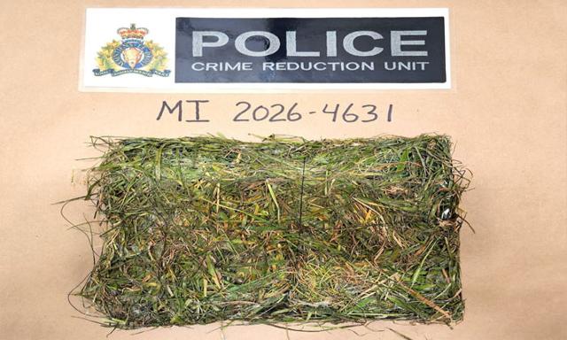 Drug package disguised as grass patch found inside Mission Institution, RCMP investigating - https://cdn.connectfm.ca/crime_2026-04-21-182837_voyo.jpg