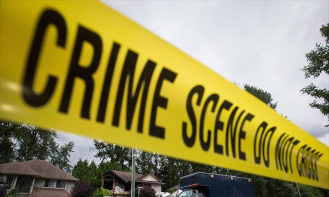B.C. Dog Owner Charged After Woman Suffers ‘Life-Altering’ Injuries in Mauling - https://cdn.connectfm.ca/crime_2026-08-13-172252_brwk.jpg