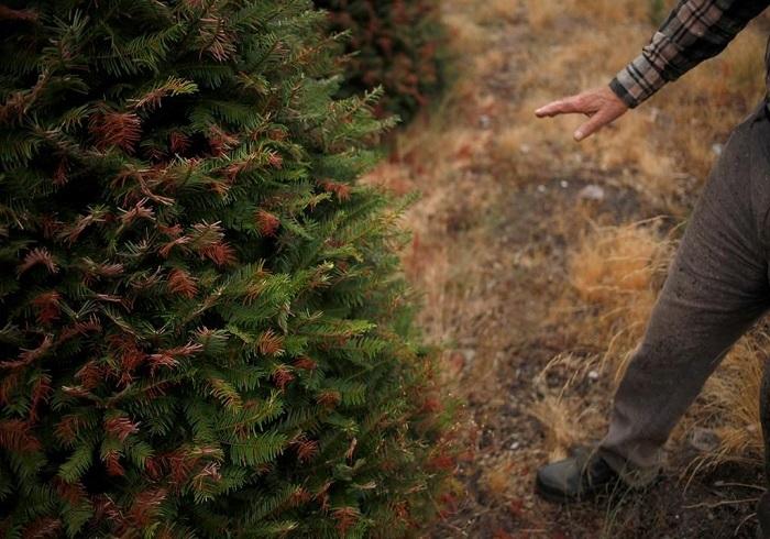 b-c-to-provide-80-million-to-help-farmers-cope-with-drought