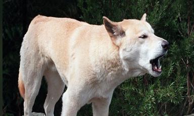 canadian-teens-death-on-australian-beach-shocks-friends-in-b-c