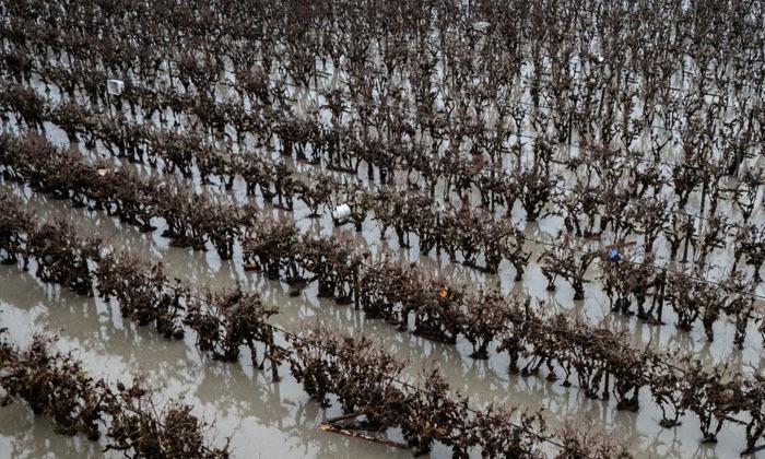 b-c-braces-for-more-flooding-as-heavy-rain-forecast-across-fraser-valley-and-vancouver-island