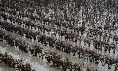b-c-braces-for-more-flooding-as-heavy-rain-forecast-across-fraser-valley-and-vancouver-island
