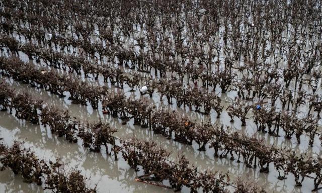B.C. braces for more flooding as heavy rain forecast across Fraser Valley and Vancouver Island - https://cdn.connectfm.ca/flooding-in-B.C.jpg