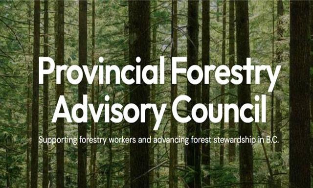 Provincial Forest Advisory Council launches website, engagement process - https://cdn.connectfm.ca/forestry.jpg