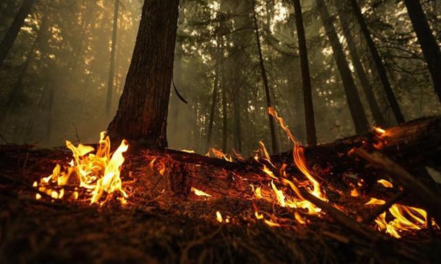 B.C. needs dedicated, cross-government wildfire strategy: former minister - https://cdn.connectfm.ca/former-minister.jpg