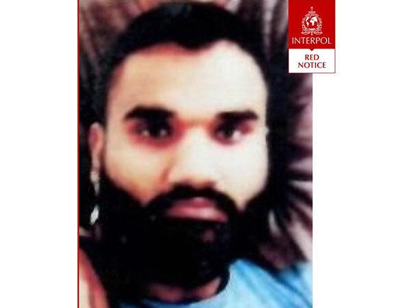 Interpol issues Red Corner Notice against gangster Goldy Brar - https://cdn.connectfm.ca/gangster-Goldy-Brar_ANI.jpg