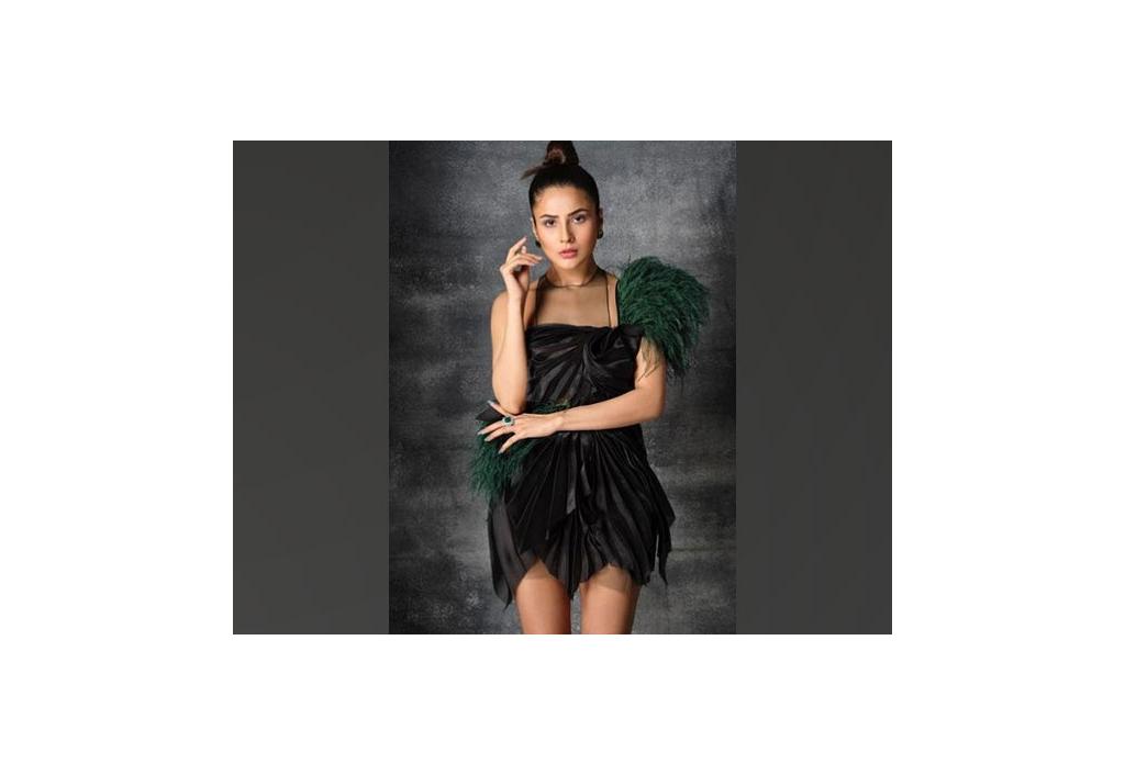 shehnaaz-gill-exudes-elegance-in-latest-dabboo-ratnani-photoshoot