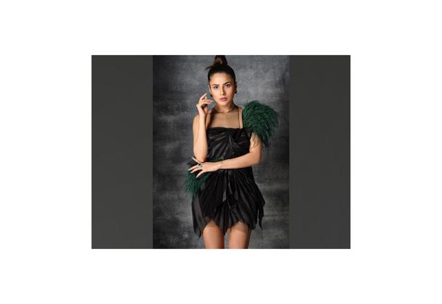 Shehnaaz Gill exudes elegance in latest Dabboo Ratnani photoshoot - https://cdn.connectfm.ca/gi.jpg