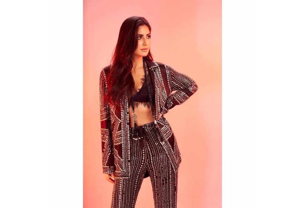 vicky-kaushal-and-katrina-kaif-are-engaged