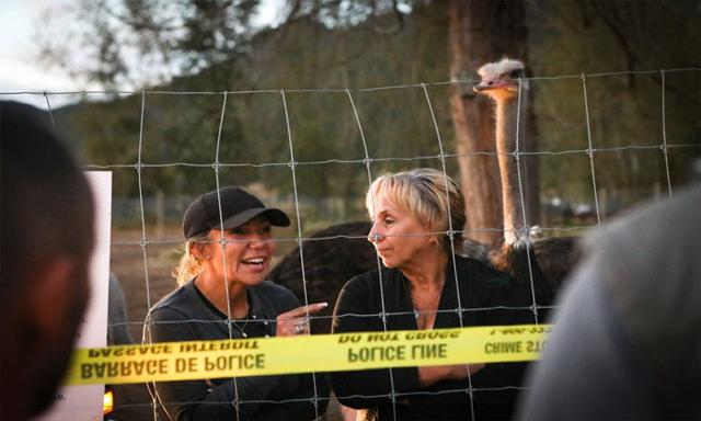 Man dies suddenly at protest camp outside B.C. ostrich farm amid ongoing court dispute - https://cdn.connectfm.ca/ostrich-farmers.jpg