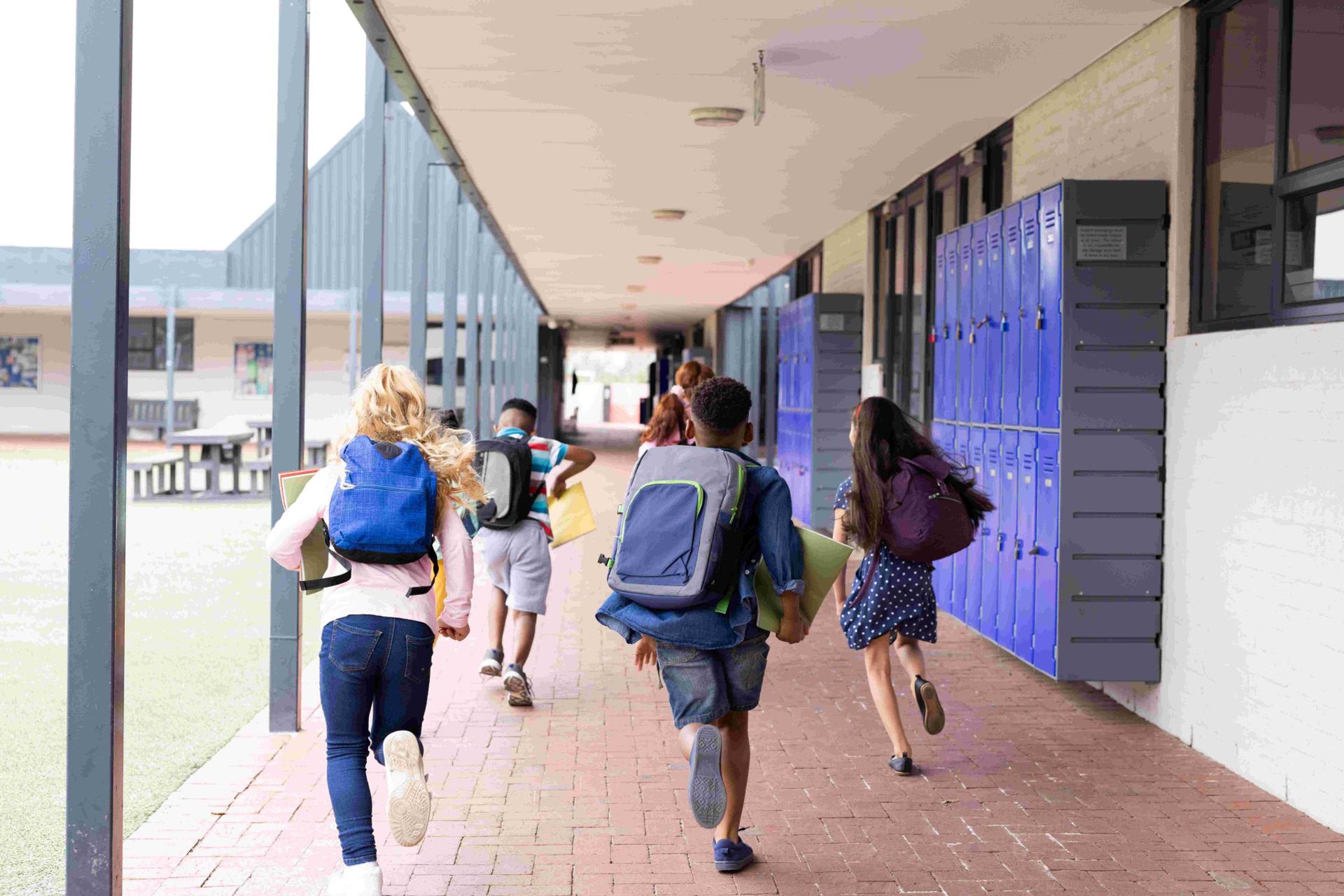 due-to-heavy-snowfall-and-strong-winds-in-quebec-many-schools-were-closed