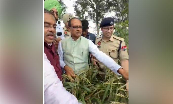 shivraj-singh-chouhan-visits-flood-affected-areas-of-amritsar-district