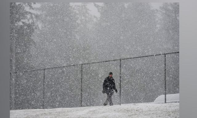Storm expected to bring up to 50 cm of snow to B.C.'s north coast - https://cdn.connectfm.ca/snow-B.jpg