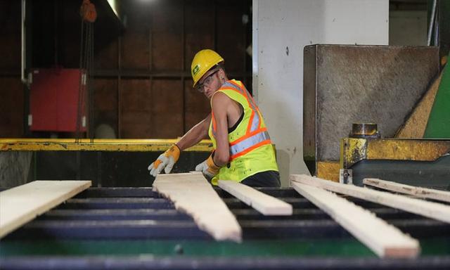 Trump hits Canadian lumber producers with additional 10 per cent tariff - https://cdn.connectfm.ca/softwood-lumber.jpg