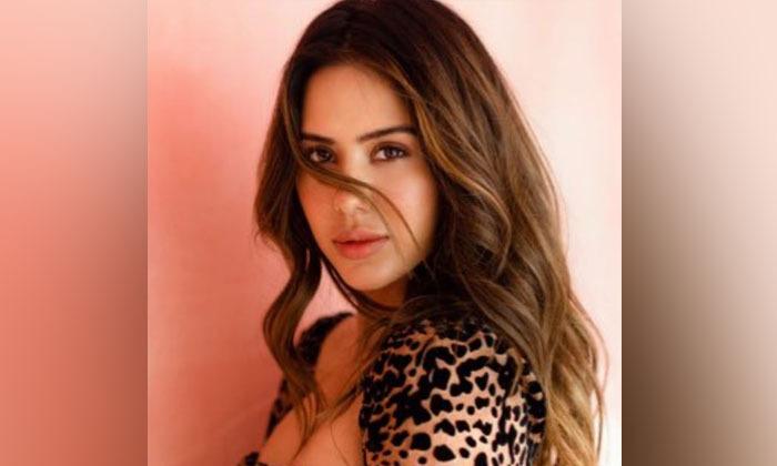 sonam-bajwa-is-the-baaghi-star