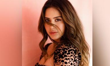 court-halts-release-of-punjabi-film-pitt-siyapa-over-copyright-claim