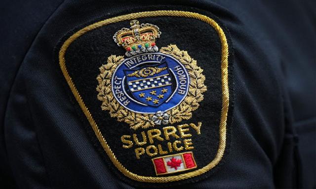 Charges Sworn in Alleged Theft and Sexual Assault - https://cdn.connectfm.ca/surrey-police_2024-12-30-154144_fllz.jpg