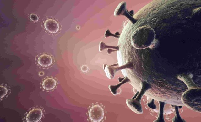 HMPV Increases Concern in India, More Cases Reported - https://cdn.connectfm.ca/virus_2025-01-07-173229_nmdz.jpg