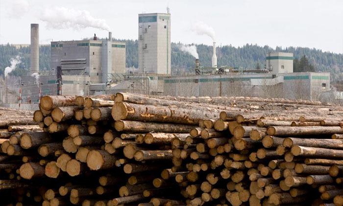 no-immediate-risk-from-2-5-million-litre-effluent-spill-from-b-c-fibreboard-plant