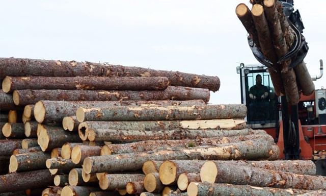 Trade minister criticizes higher U.S. softwood lumber duties as unfair, unwarranted - https://cdn.connectfm.ca/wood_2024-08-14-183622_tpbs.jpg
