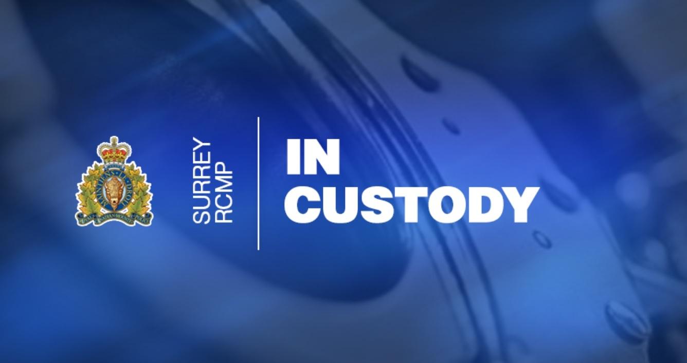 police-target-thieves-capitalizing-on-the-holiday-season-in-surrey