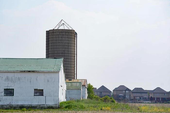 conservative-motion-seeks-support-to-order-senators-to-pass-carbon-pricing-bill