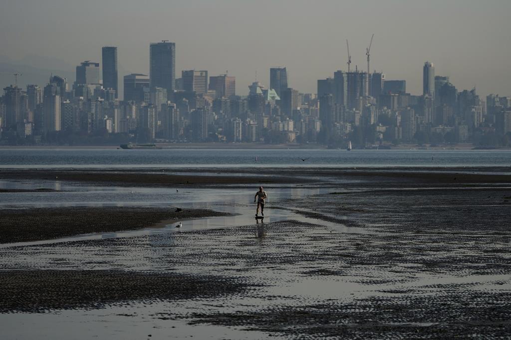 firefighters-respond-to-wildfire-in-west-vancouver-near-cypress-falls-park