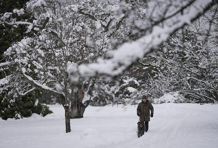 more-than-200-crashes-reported-as-wintry-weather-returns-to-calgary