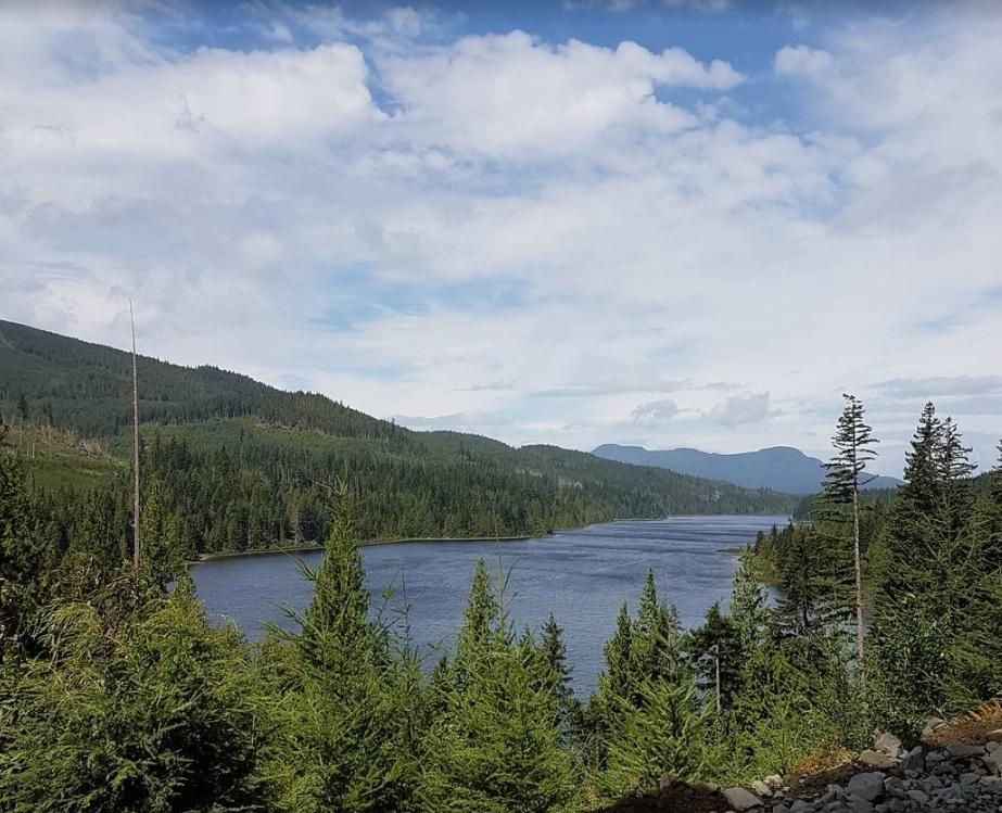 pilot-killed-in-helicopter-crash-in-remote-area-of-vancouver-island